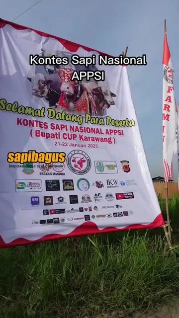 Kontes-Sapi-APPSI-2023-Karawang